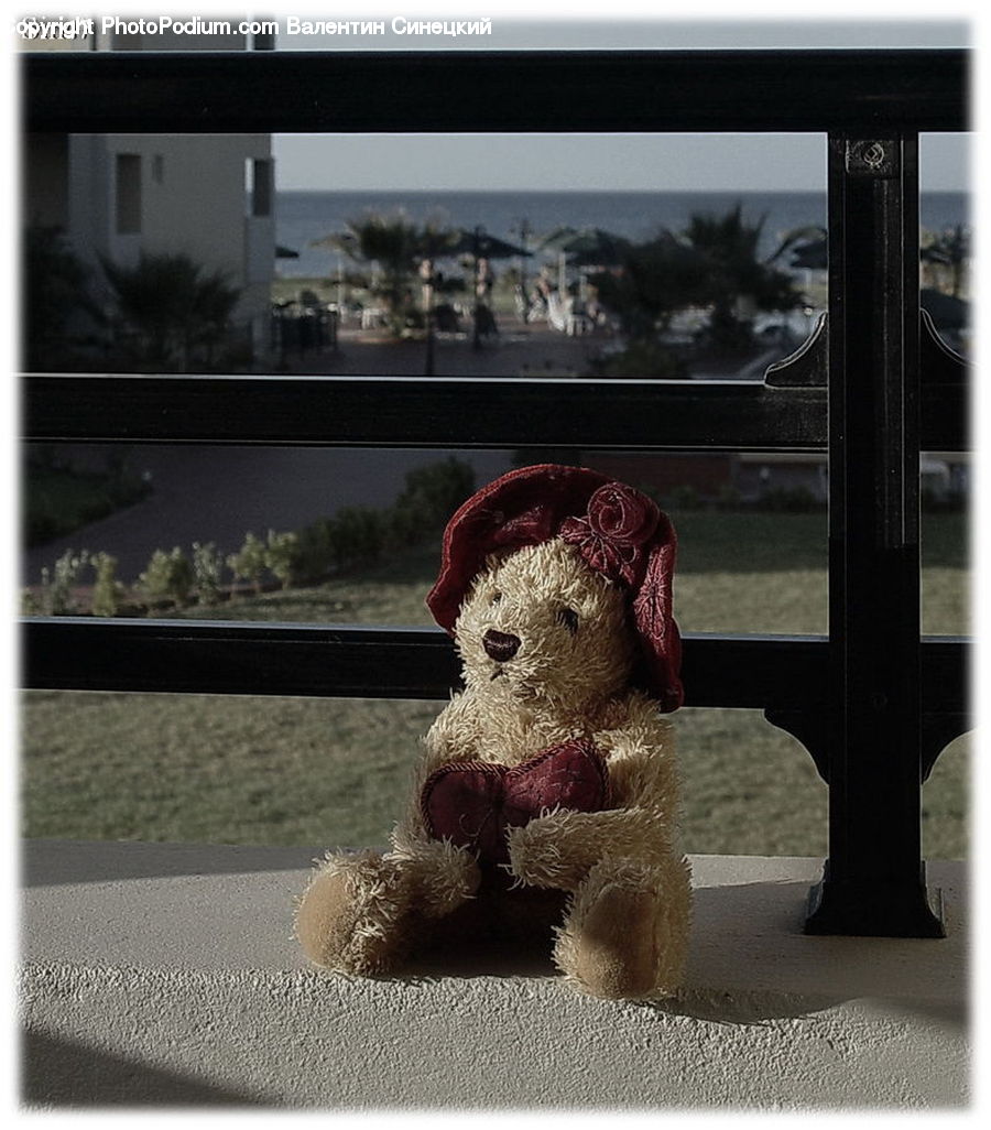Teddy Bear, Toy, Plant, Potted Plant