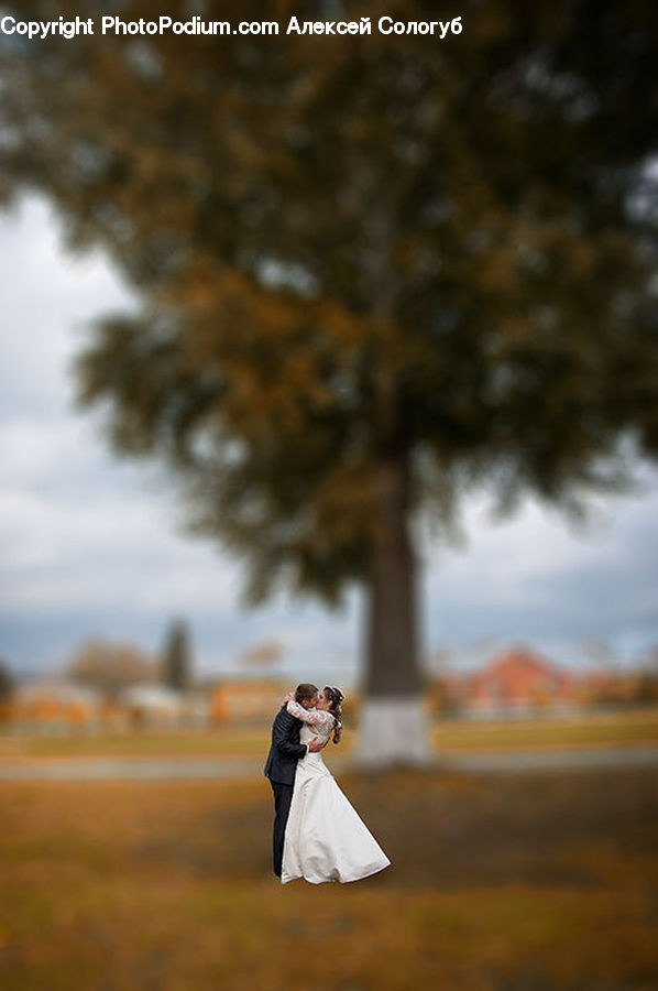 People, Person, Human, Photographer, Wedding, Dirt Road, Gravel