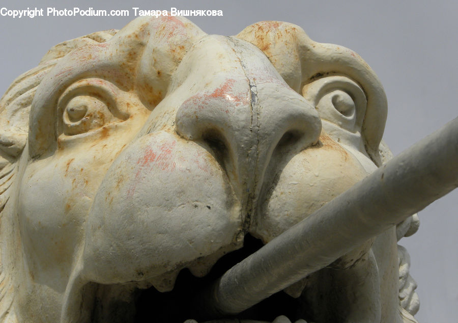 Art, Gargoyle, Statue, Head, Portrait