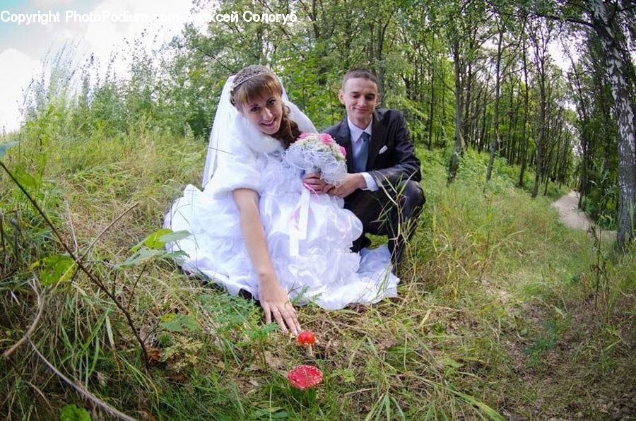 People, Person, Human, Plant, Potted Plant, Bridegroom, Wedding