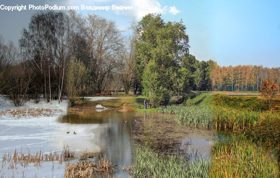 Outdoors, Pond, Water, Field, Grass, Grassland, Plant