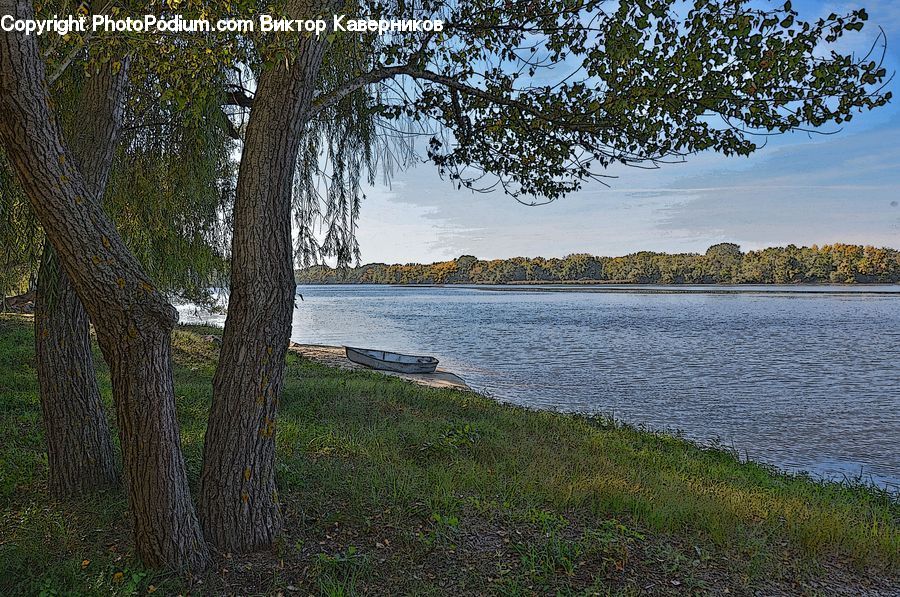 Lake, Outdoors, Water, Field, Grass, Grassland, Plant