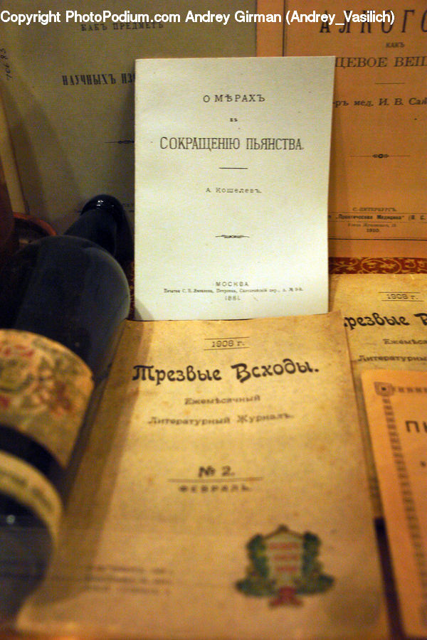 Couch, Furniture, Diary, Text, Receipt, Document, Paper