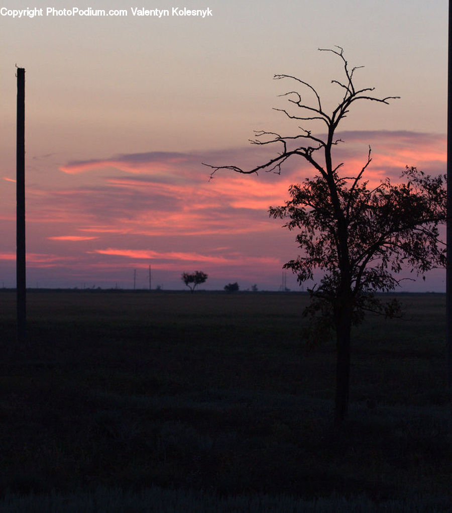Dawn, Dusk, Red Sky, Sky, Sunrise, Sunset, Outdoors