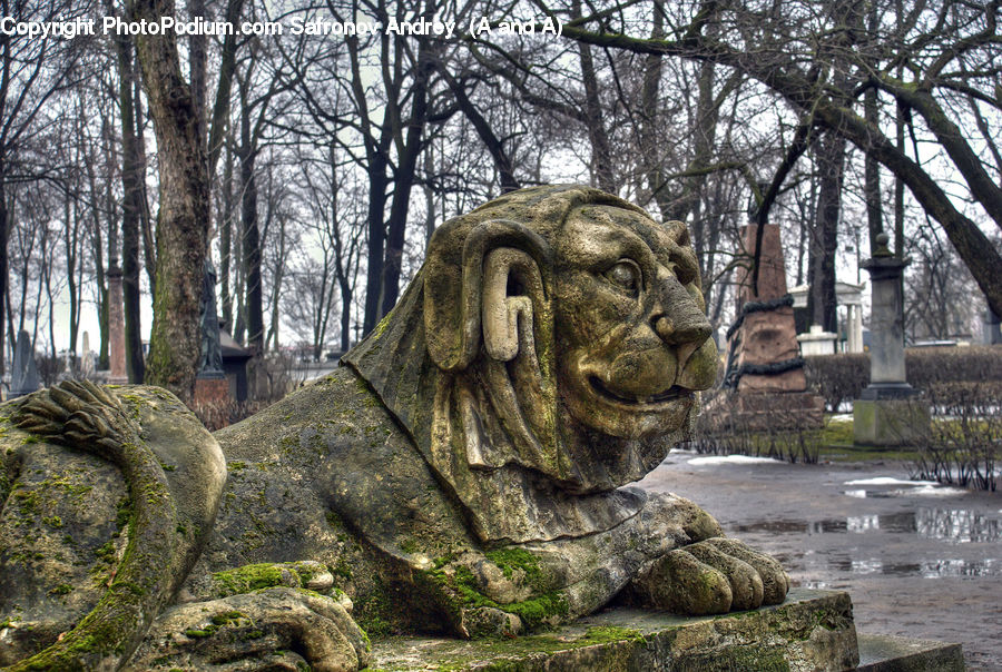 Puddle, Art, Gargoyle, Statue, Fountain, Water, Plant