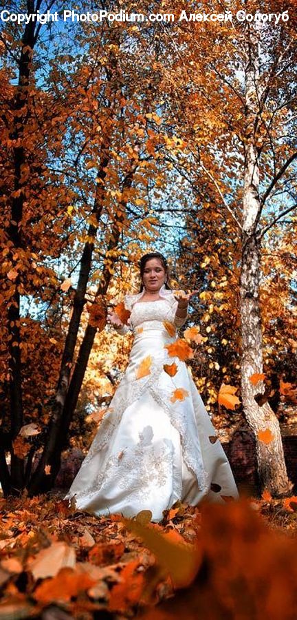Plant, Potted Plant, Bride, Gown, Person, Wedding, Clothing