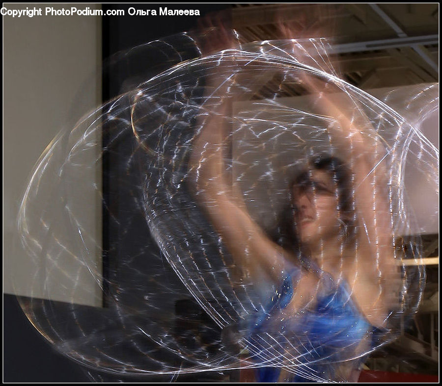 Plastic Wrap, Arachnid, Garden Spider, Insect, Invertebrate, Spider
