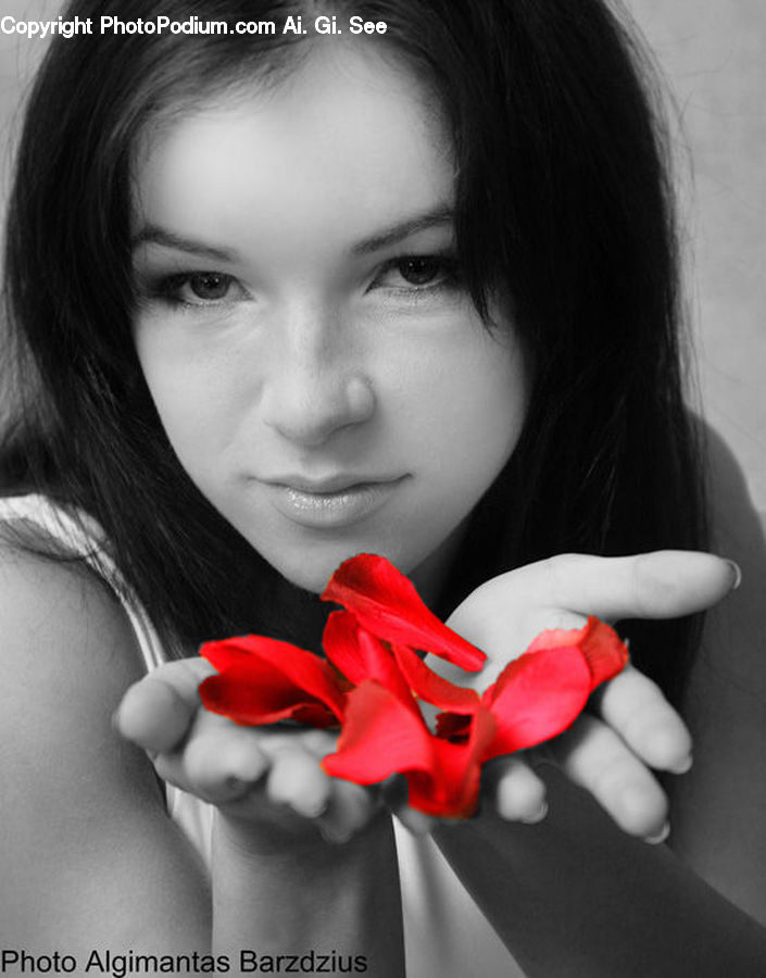 Human, People, Person, Blossom, Flower, Plant, Rose