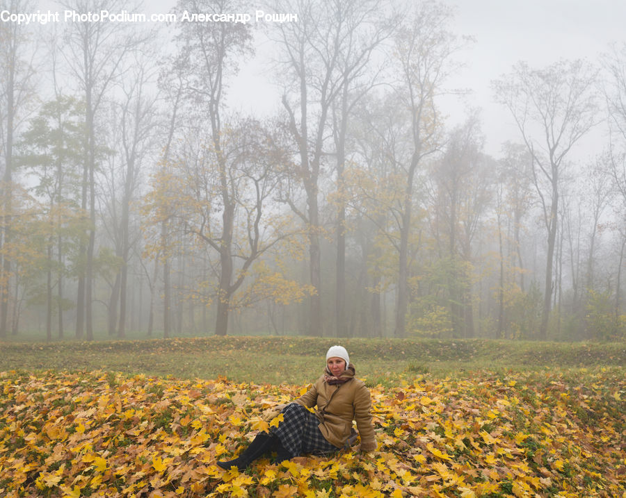 People, Person, Human, Fog, Mist, Outdoors, Field