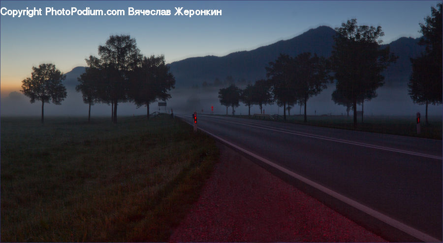 Dirt Road, Gravel, Road, Fog, Mist, Outdoors, Plant