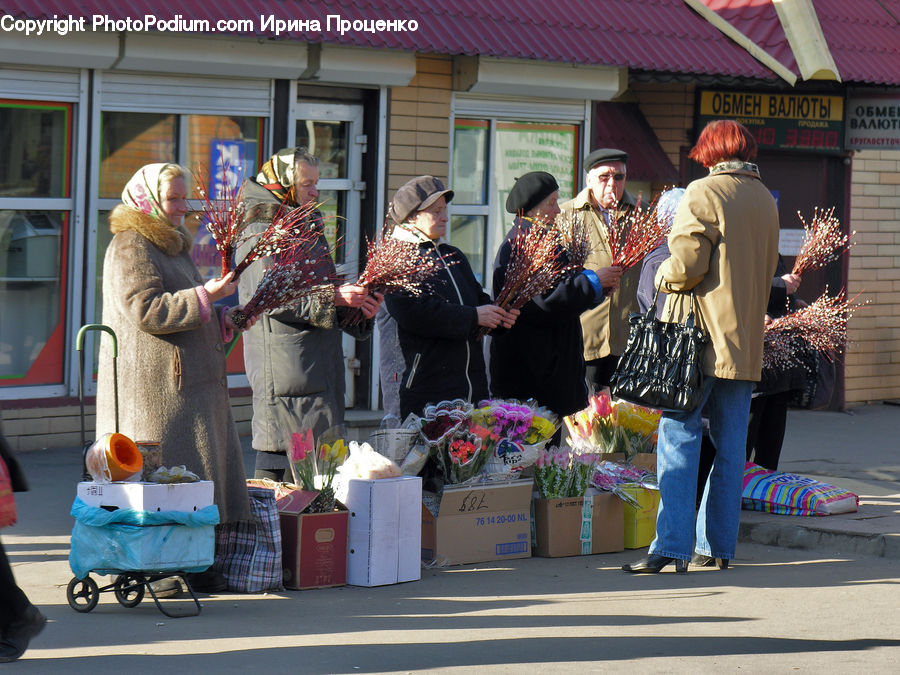 People, Person, Human, Plant, Potted Plant, Shop, Closet