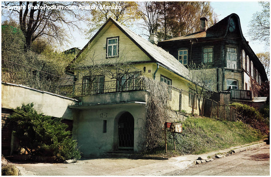 Plant, Potted Plant, Building, Cottage, Housing, House, Architecture