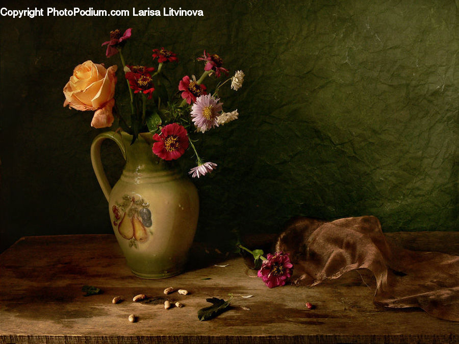 Plant, Potted Plant, Cosmos, Glass, Goblet, Blossom, Dahlia