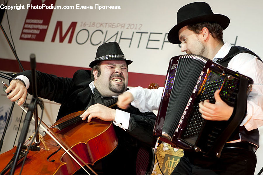 People, Person, Human, Accordion, Musical Instrument, Cello