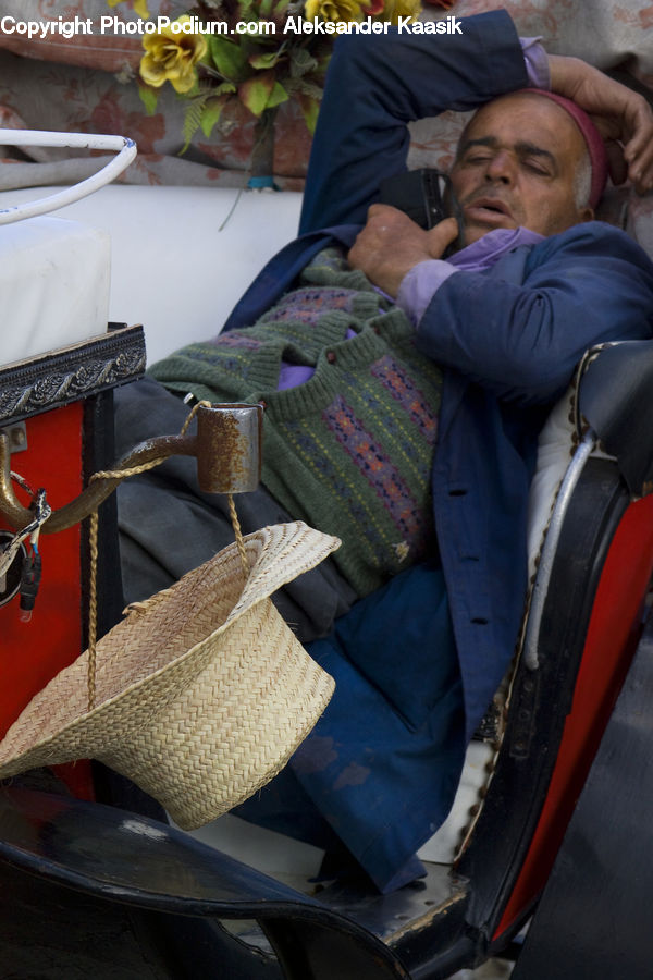 People, Person, Human, Plant, Potted Plant, Car Seat, Couch