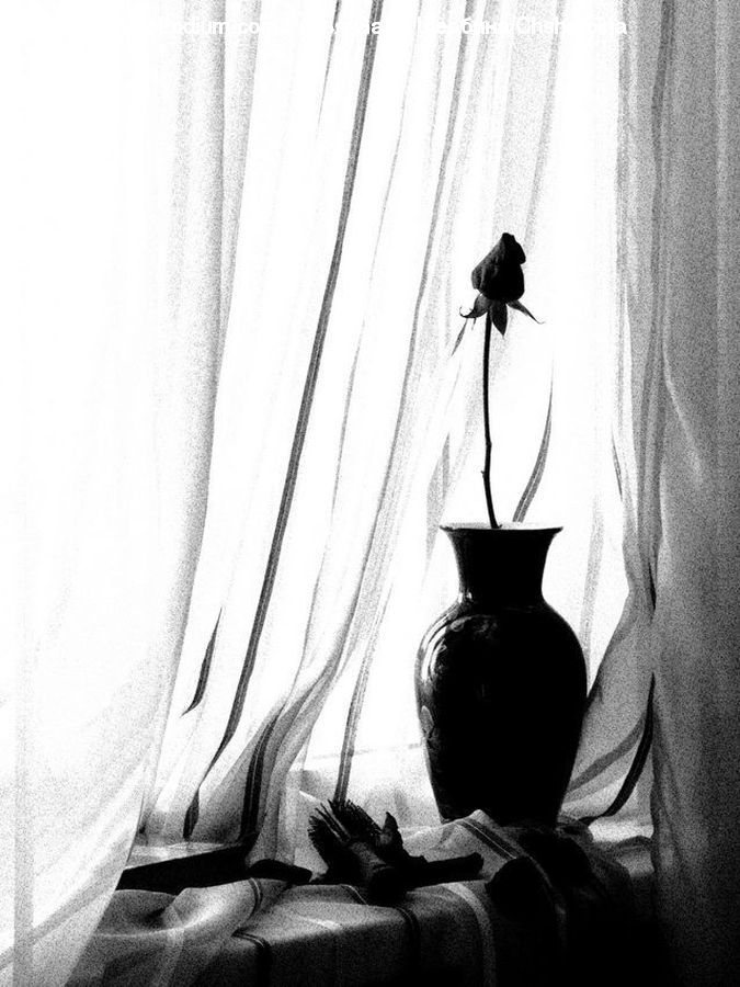 Jar, Porcelain, Vase, Silhouette, Beverage, Bottle, Wine