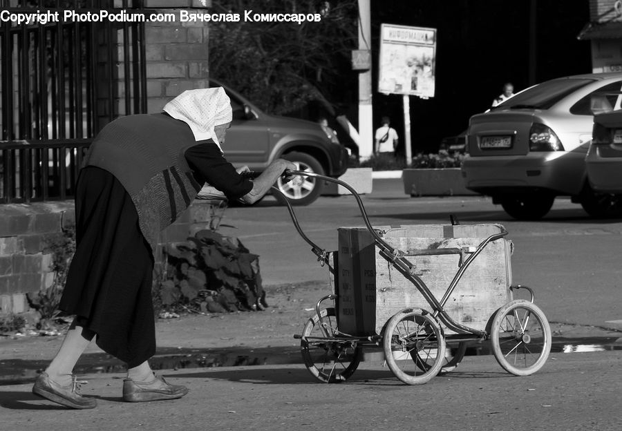 Automobile, Car, Vehicle, Tricycle, Bicycle, Bike, Cyclist