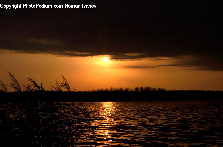 Sun, Dawn, Dusk, Sky, Sunrise, Sunset, Grass