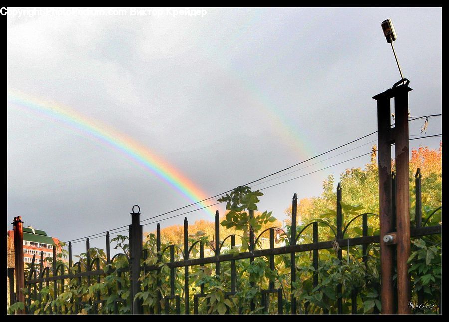 Outdoors, Rainbow, Sky, Plant, Potted Plant, Countryside, Farm