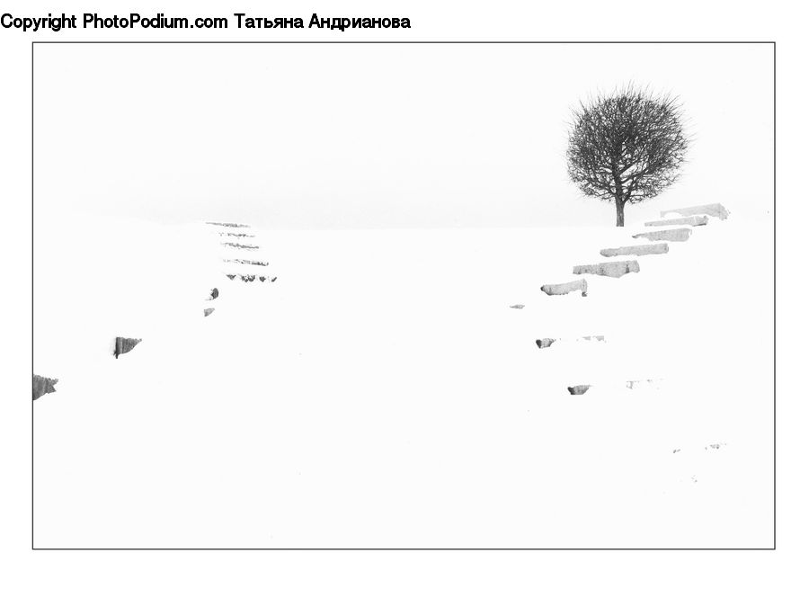 Diagram, Plan, Text
