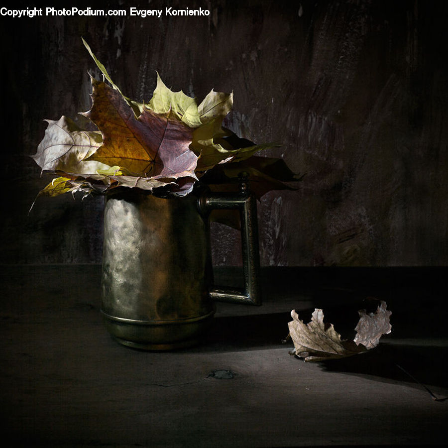 Plant, Potted Plant, Maple, Maple Leaf, Leaf, Garlic, Crypt