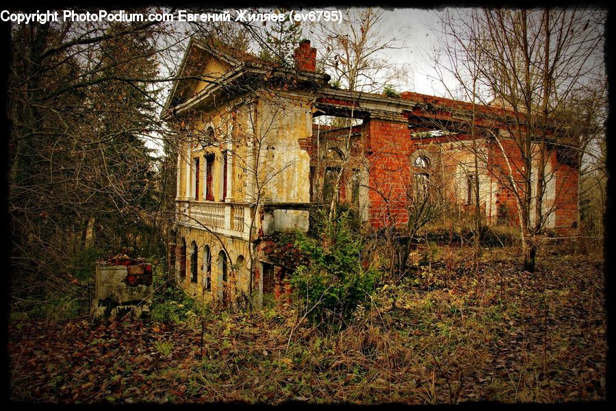 Building, Cottage, Housing, Brick, Architecture, Mansion, Ivy