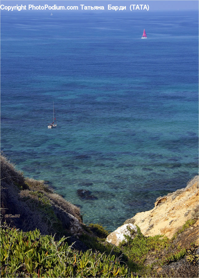 Coast, Outdoors, Sea, Water, Promontory, Seaweed, Beach