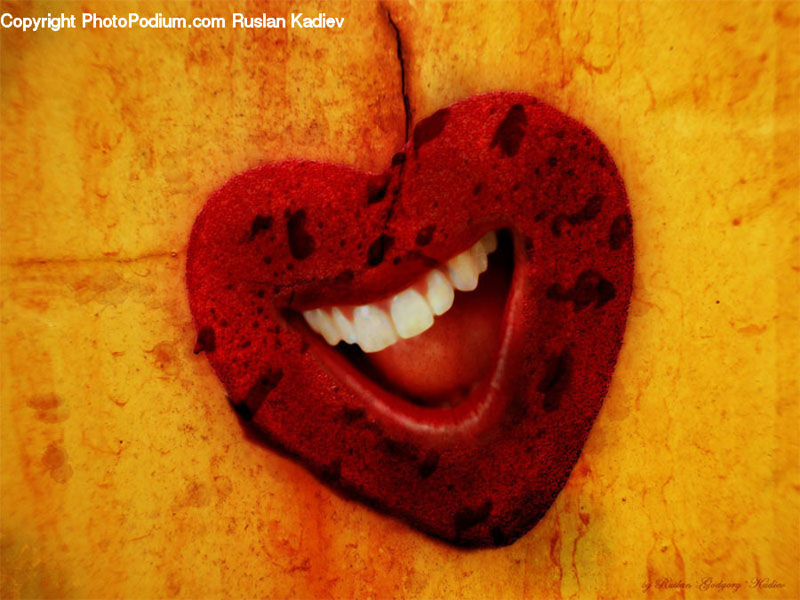 Heart, Face