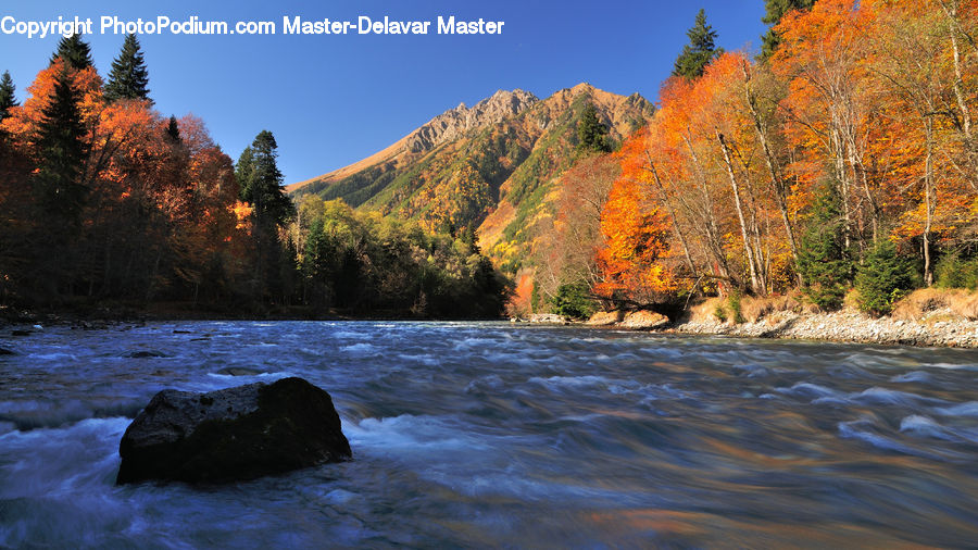 Outdoors, River, Water, Creek, Conifer, Fir, Plant