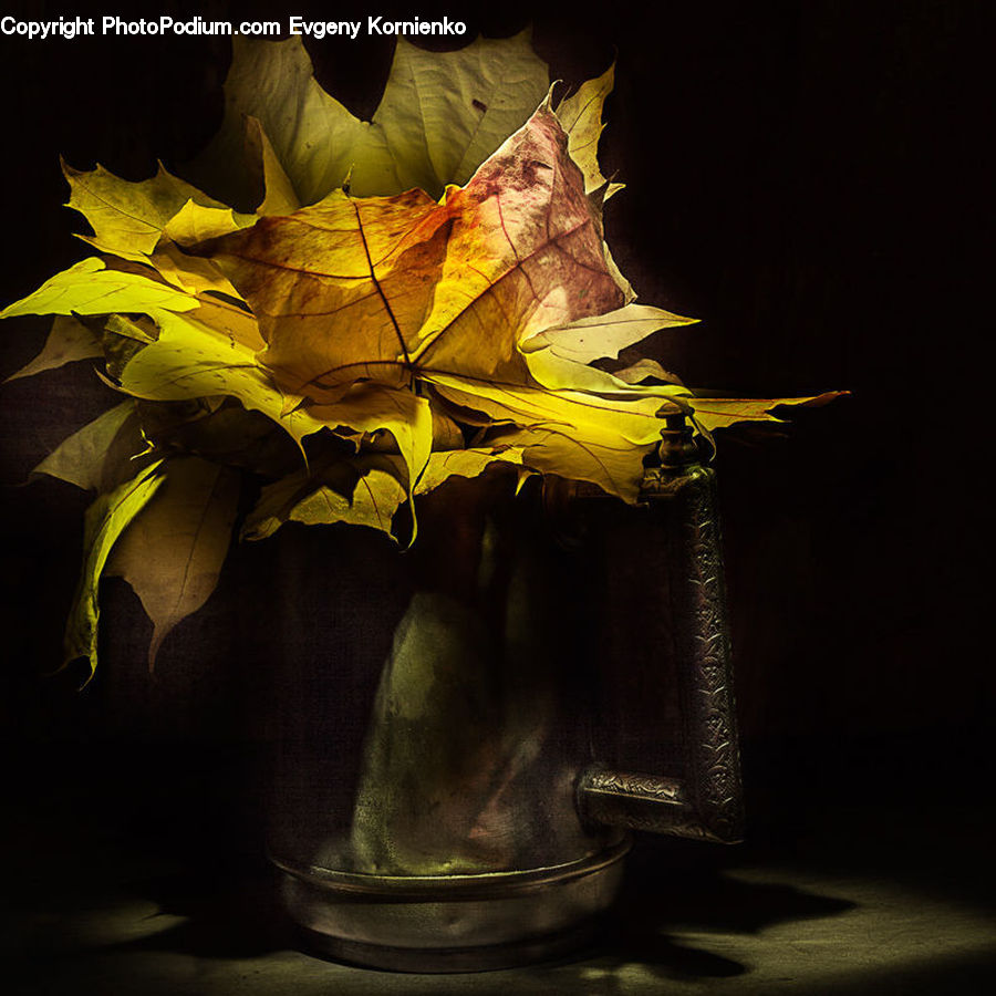 Lamp, Lampshade, Maple, Maple Leaf, Plant, Flora, Flower
