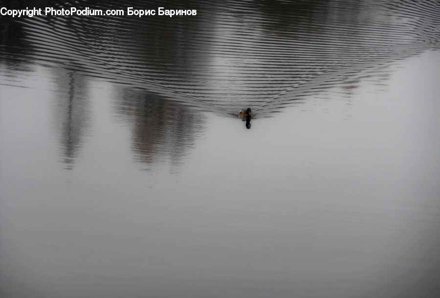 Outdoors, Ripple, Water