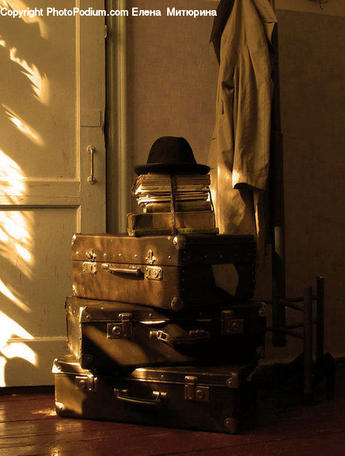 Luggage, Suitcase, Coat, Plant, Potted Plant, Light, Traffic Light