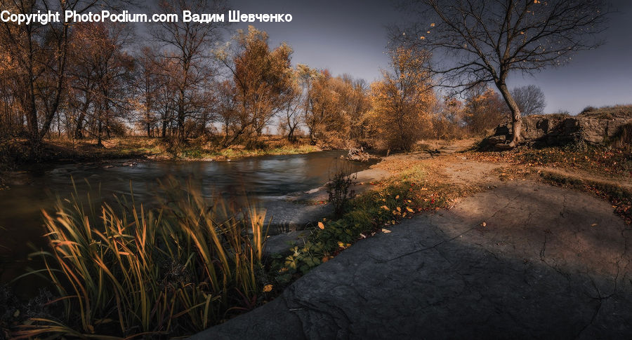 Outdoors, River, Water, Pond, Field, Grass, Grassland