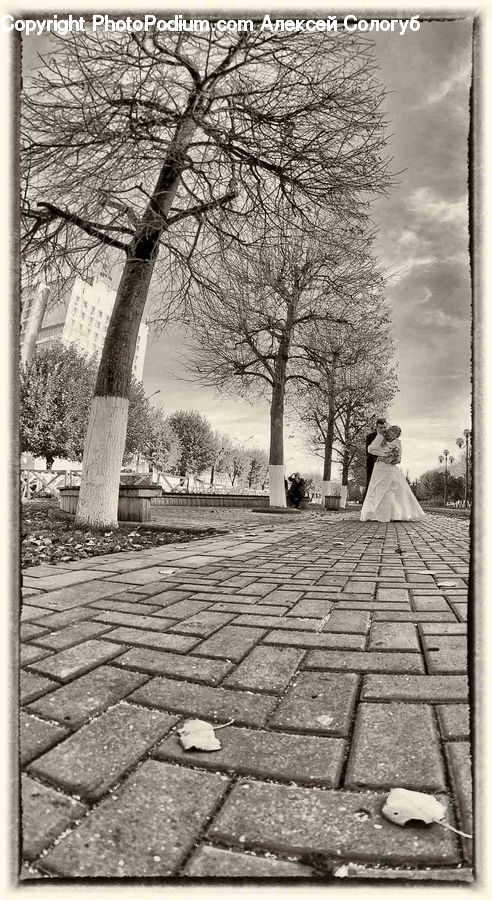 Clothing, Dress, Boardwalk, Path, Pavement, Sidewalk, Walkway