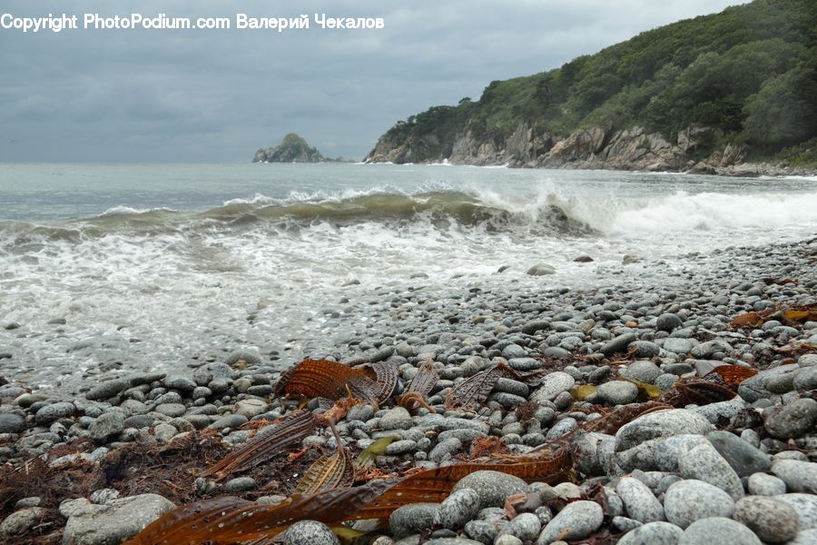 Coast, Outdoors, Sea, Water, Rock, Pebble, Beach