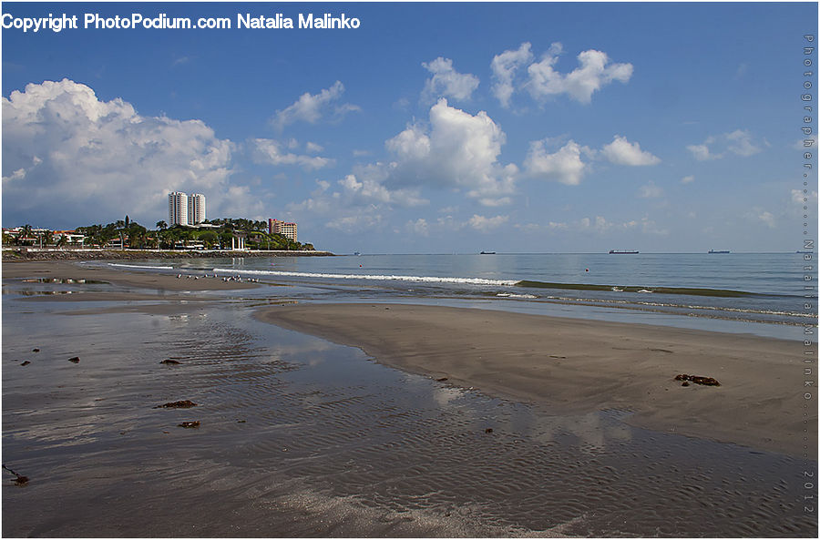 Beach, Coast, Outdoors, Sea, Water