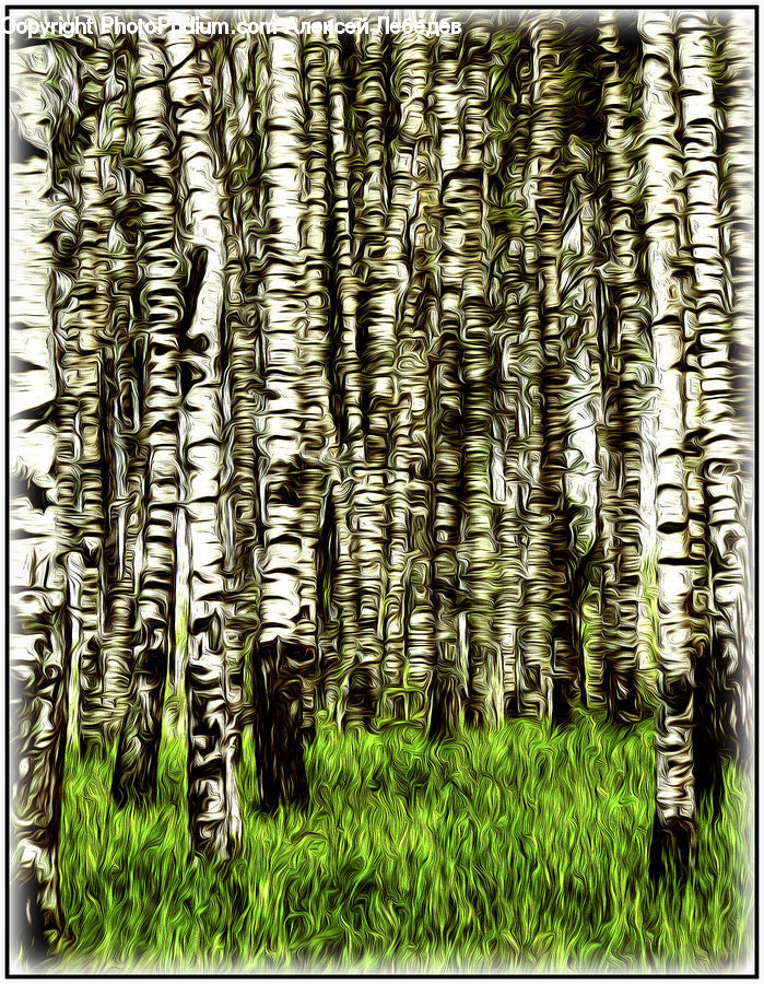 Birch, Tree, Wood, Tiki, Totem, Cushion, Home Decor