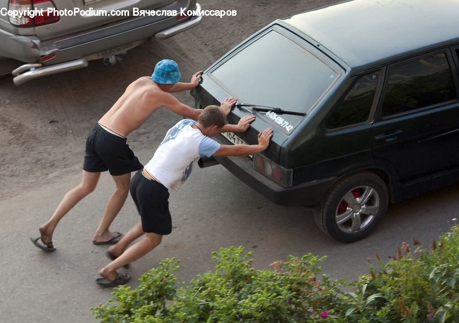 People, Person, Human, Automobile, Car, Vehicle, Moss