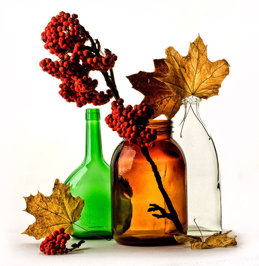 Perfume, Leaf, Plant, Maple, Maple Leaf, Bottle, Aftershave