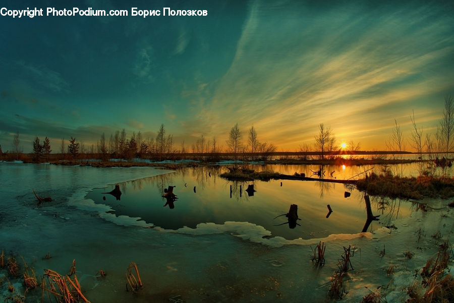 Algae, Dawn, Dusk, Sky, Sunrise, Sunset, Land