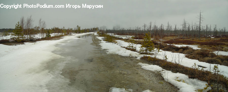 Land, Marsh, Outdoors, Swamp, Water, Pond, Dirt Road