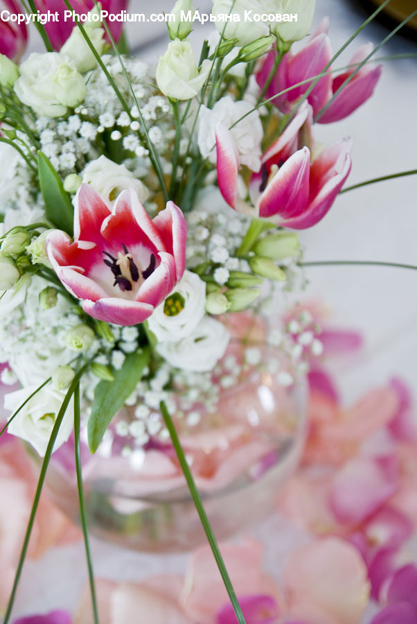 Flower, Flower Arrangement, Flower Bouquet, Floral Design, Ikebana, Blossom, Flora