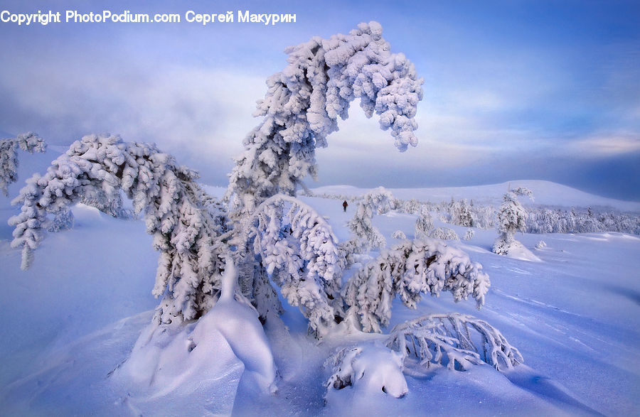 Arctic, Glacier, Ice, Mountain, Outdoors, Snow, Landscape