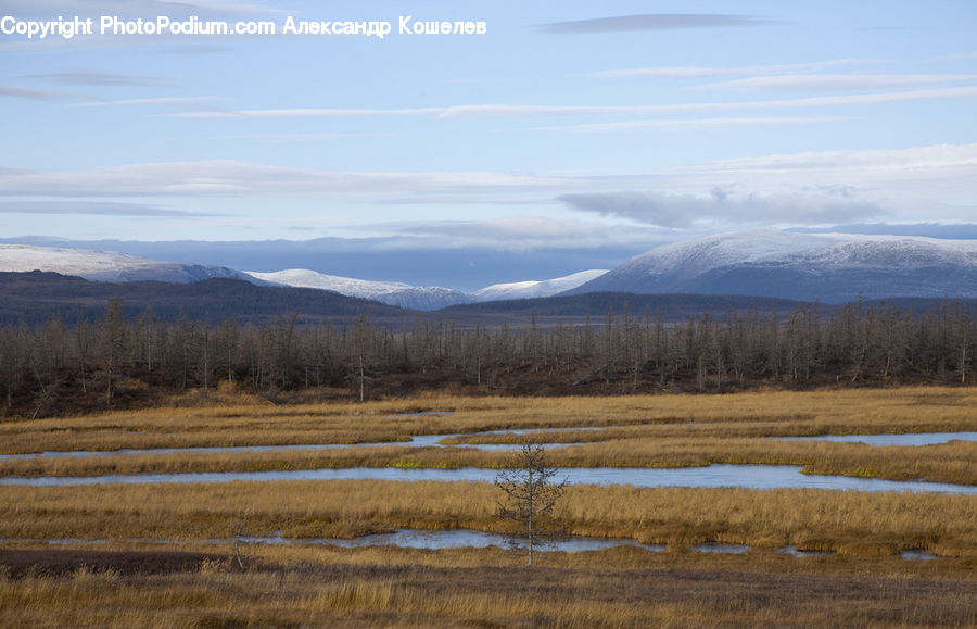 Field, Grass, Grassland, Land, Outdoors, Mountain, Mountain Range