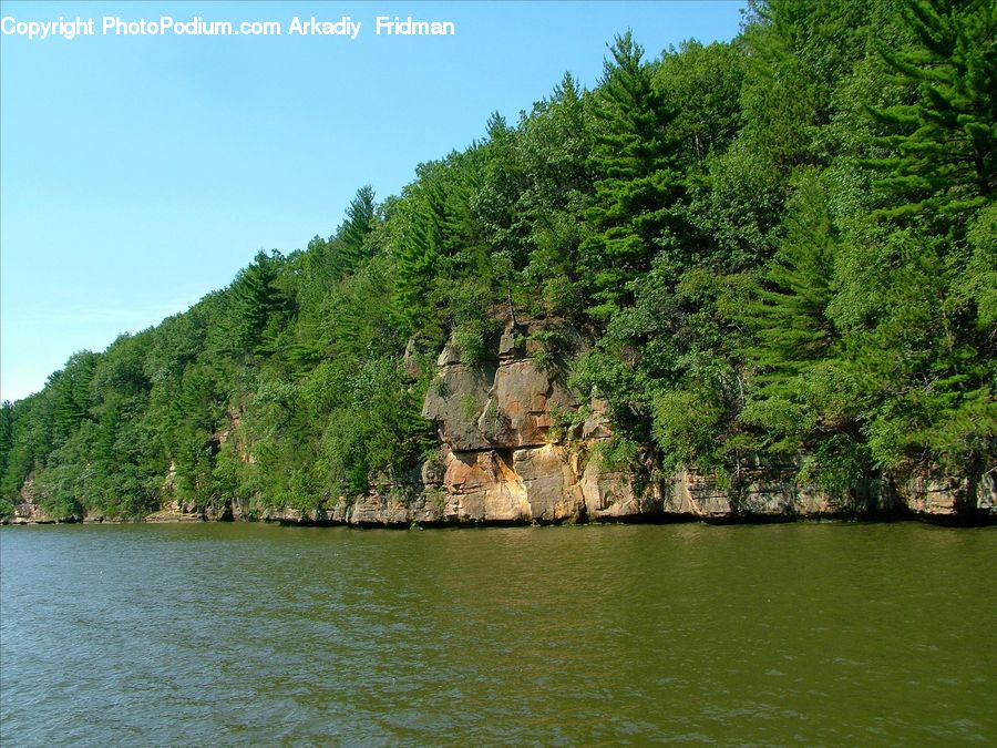 Plant, Vegetation, Cliff, Outdoors, Conifer, Fir, Tree