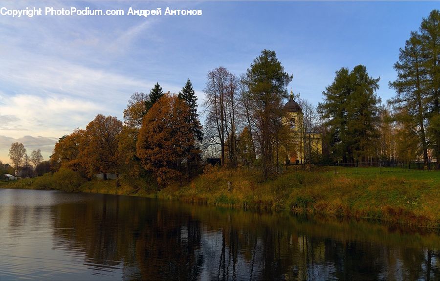 Conifer, Fir, Plant, Tree, Lake, Outdoors, Water