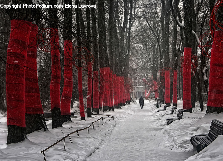 Boardwalk, Path, Pavement, Sidewalk, Walkway, Ice, Outdoors