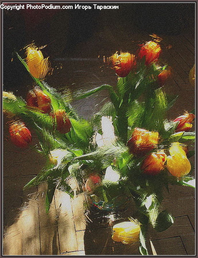 Plant, Potted Plant, Floral Design, Flower, Flower Arrangement, Flower Bouquet, Ikebana