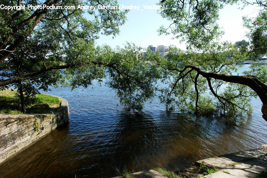Outdoors, River, Water, Landscape, Nature, Scenery, Blossom