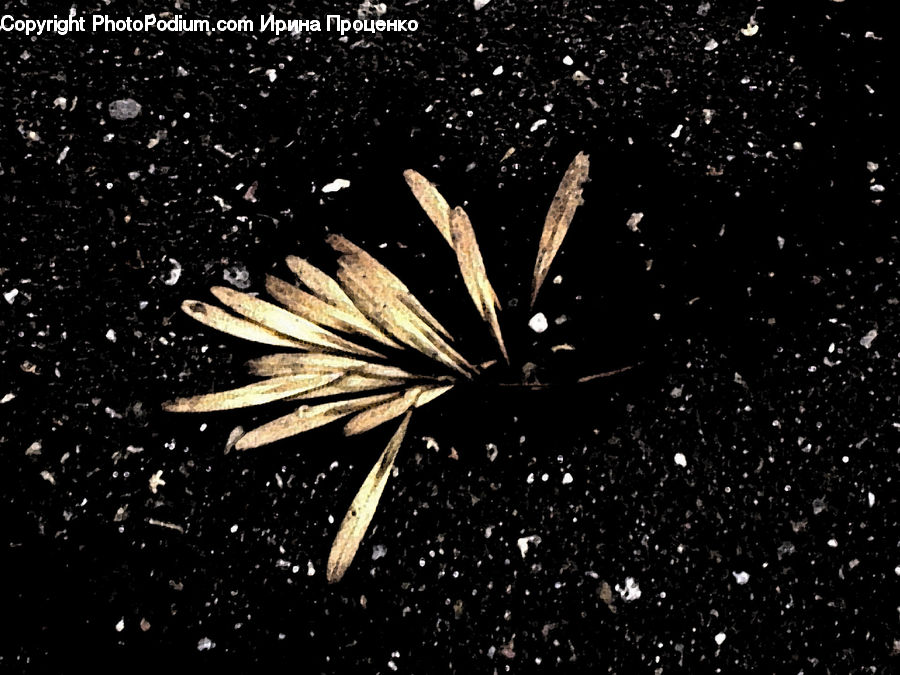 Fireworks, Night, Asphalt, Tarmac